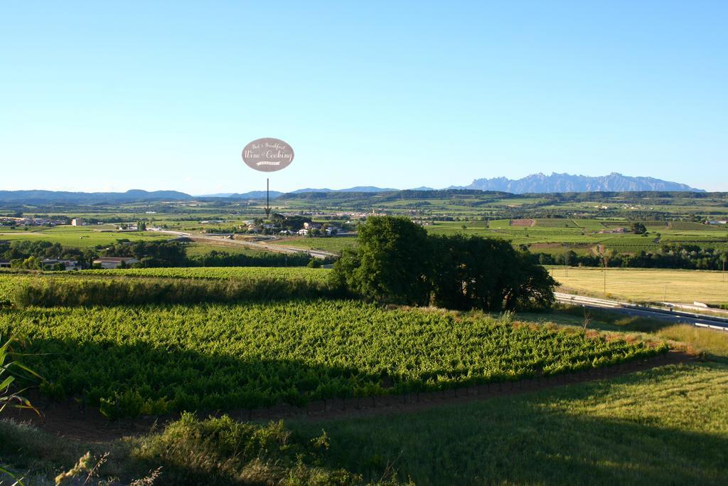 Bed&Breakfast Wine&Cooking Penedès Pla del Panadés Extérieur photo